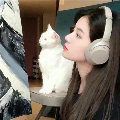 哈勃时代